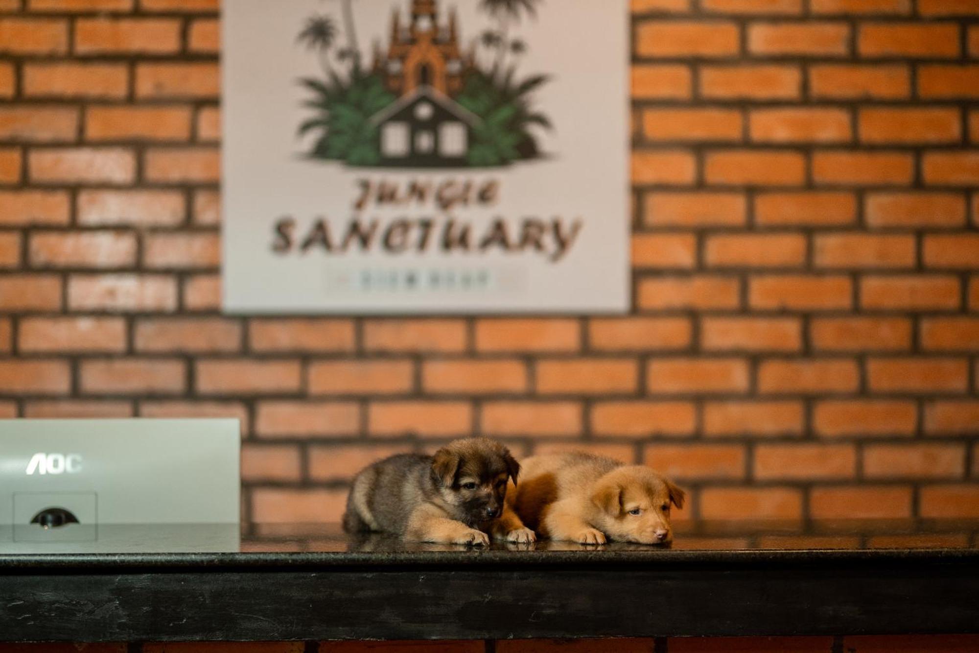 Jungle Sanctuary Hotel Siem Reap Exterior photo